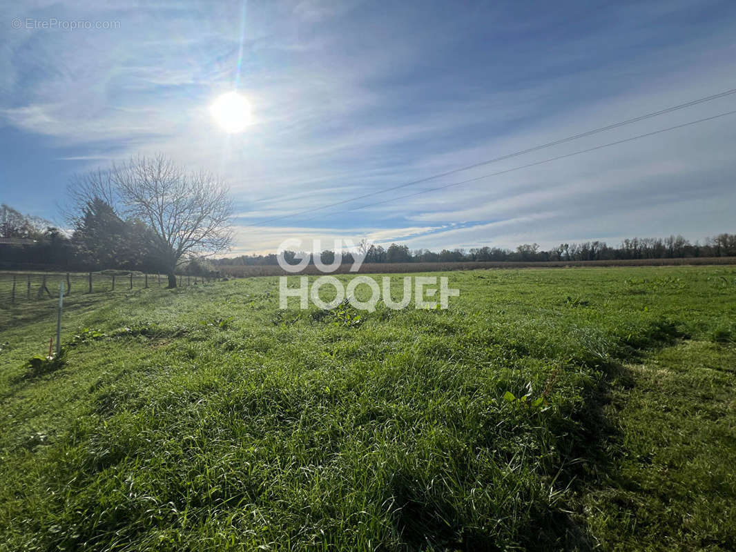 Terrain à LABASTIDE-CEZERACQ