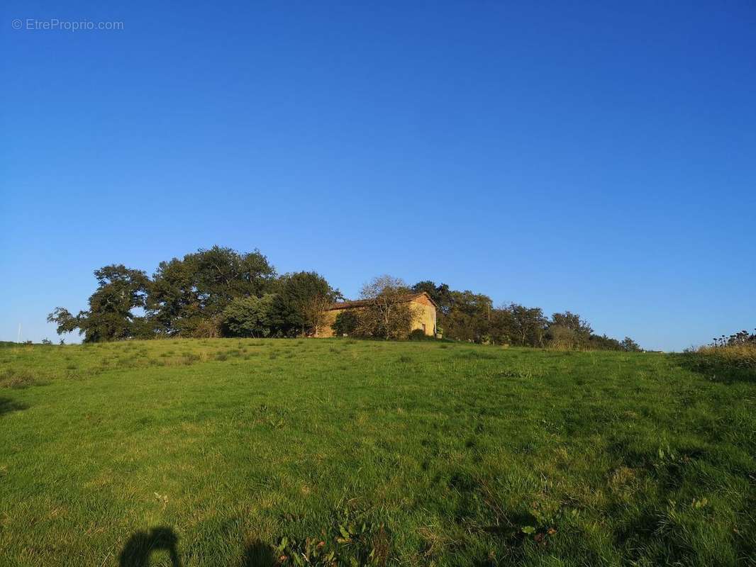 IMG20241106163120 - Maison à AIGNAN