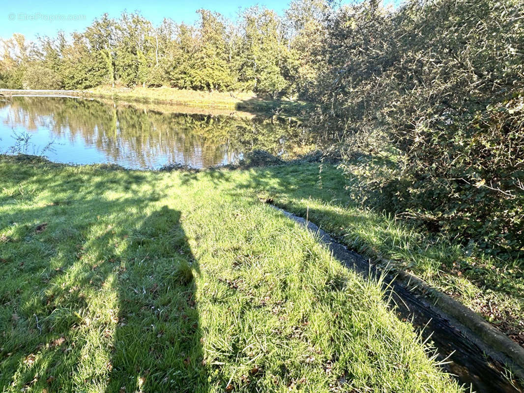 Terrain à DOMERAT