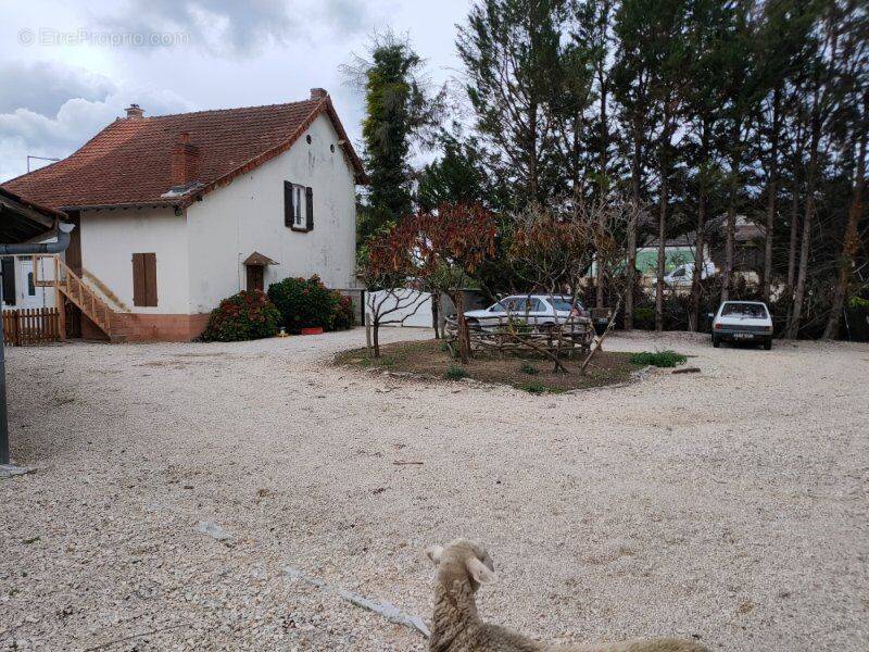 Photo 1 - Maison à SAINT-BONNET-EN-BRESSE