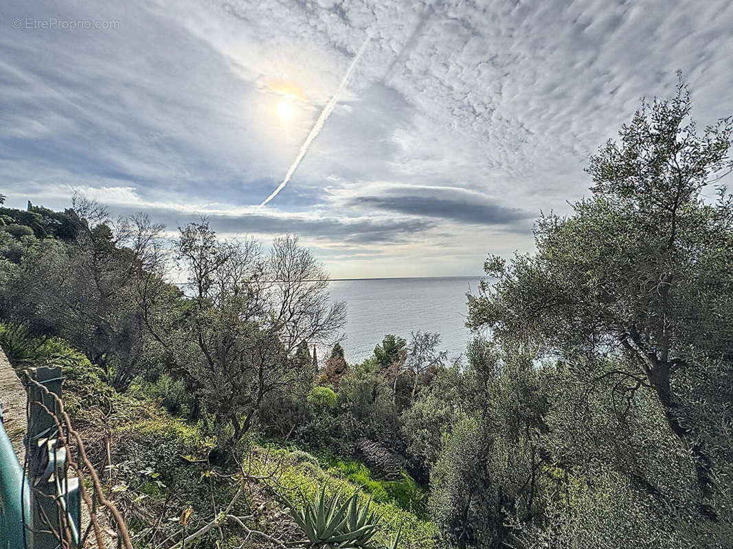 Appartement à ROQUEBRUNE-CAP-MARTIN