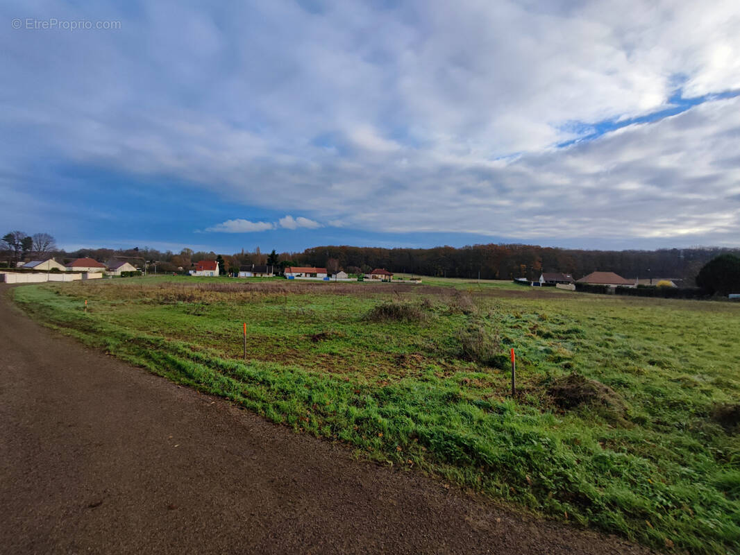 Terrain à SAINT-SEROTIN