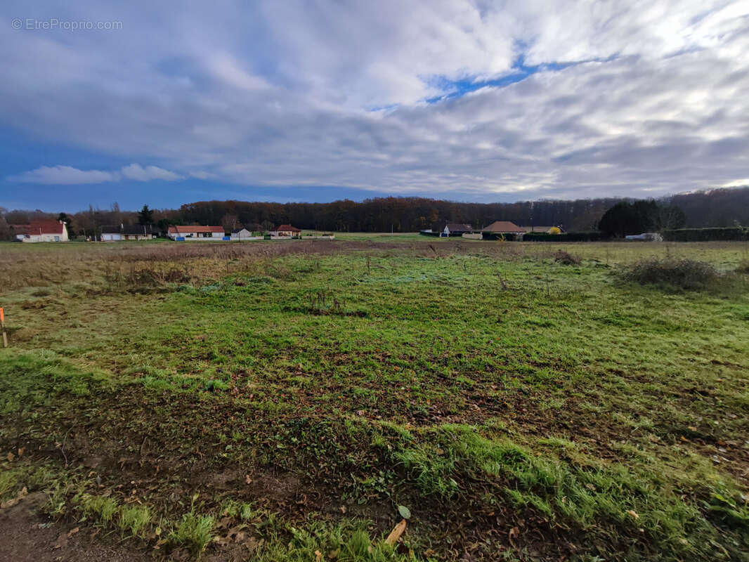 Terrain à SAINT-SEROTIN