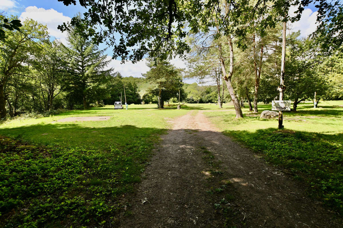 Commerce à DUN-LES-PLACES