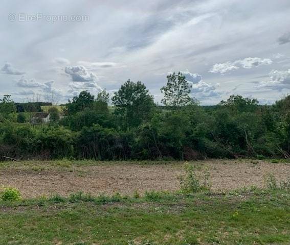 Terrain à LEIGNE-LES-BOIS