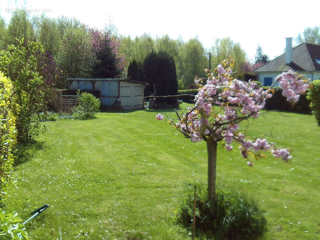 Terrain à CAMPAGNE-LES-HESDIN