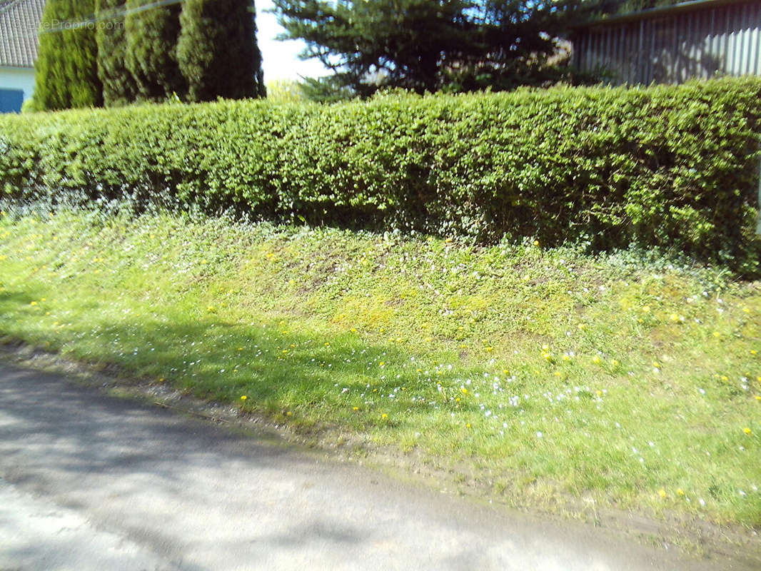 Terrain à CAMPAGNE-LES-HESDIN