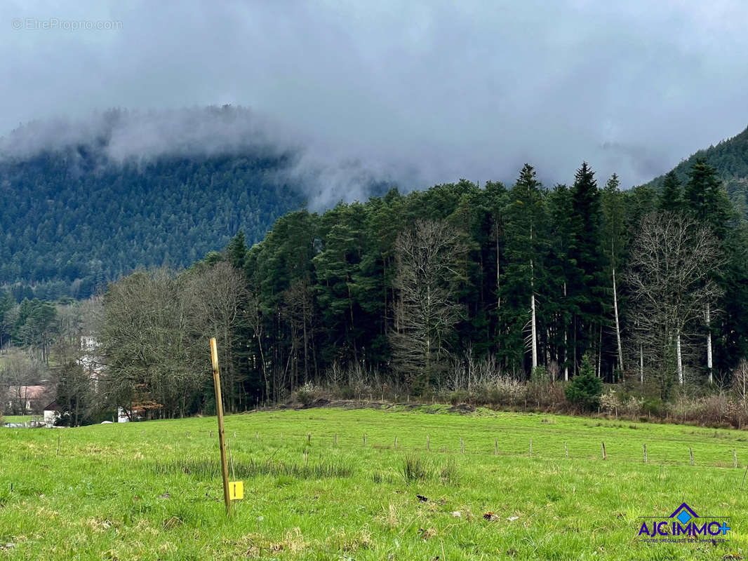 Terrain à PAIR-ET-GRANDRUPT