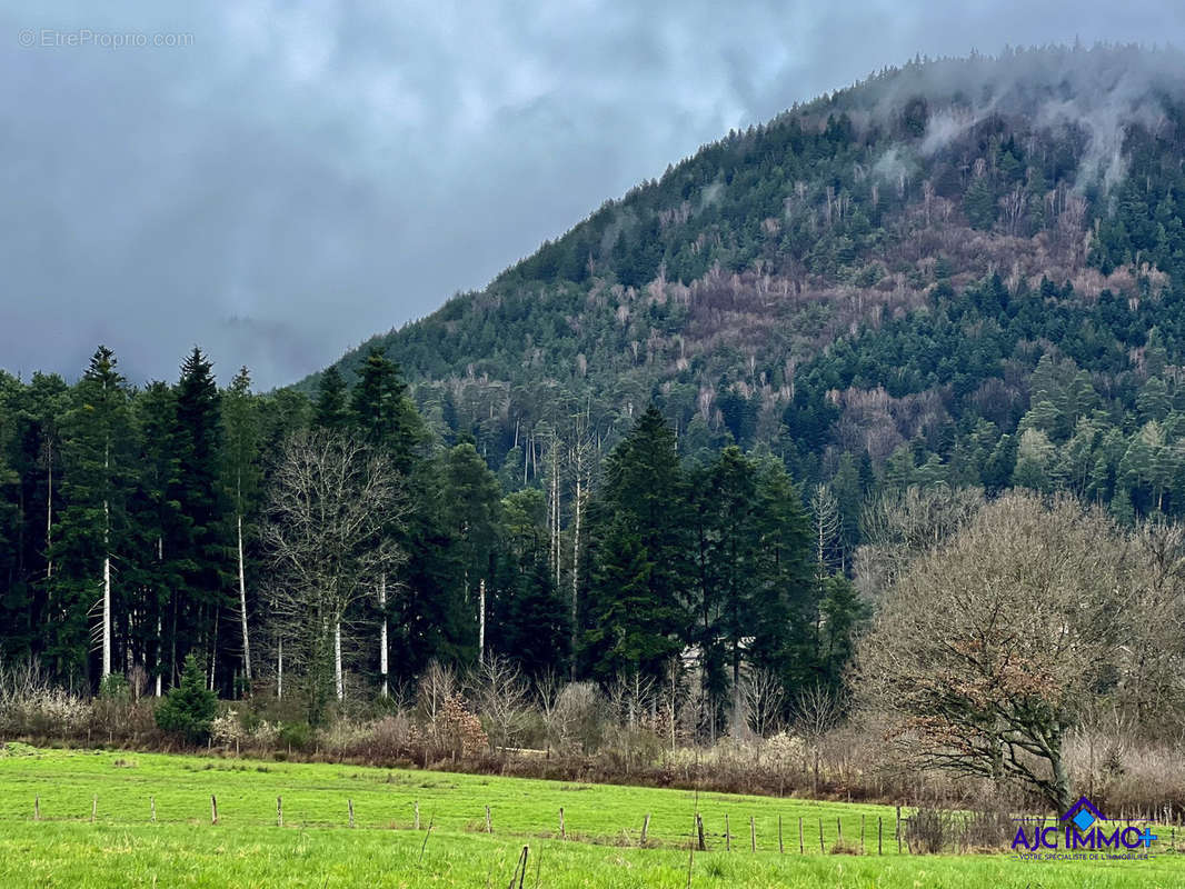 Terrain à PAIR-ET-GRANDRUPT