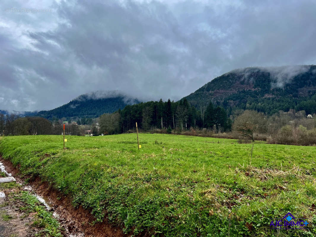 Terrain à PAIR-ET-GRANDRUPT