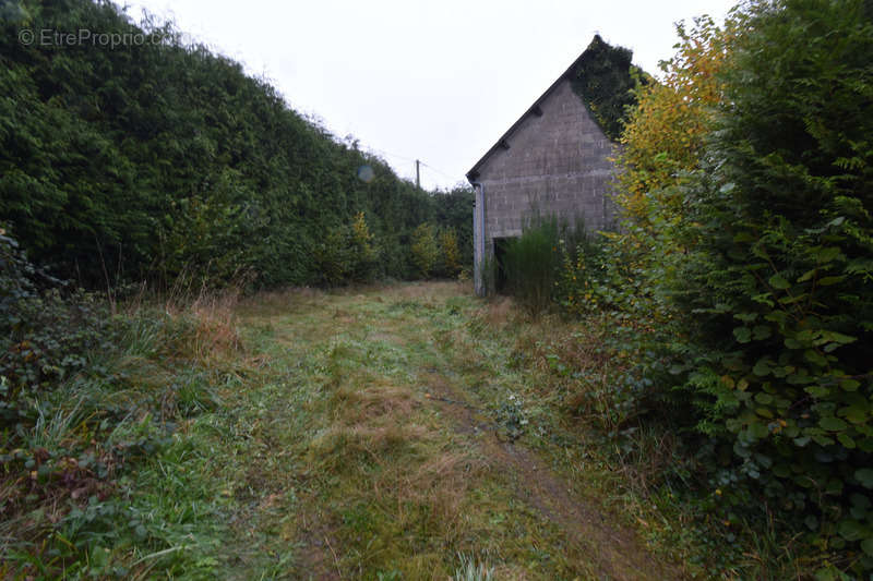 Commerce à LA FERRIERE-AUX-ETANGS