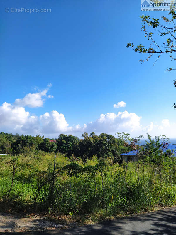 Terrain à VIEUX-HABITANTS