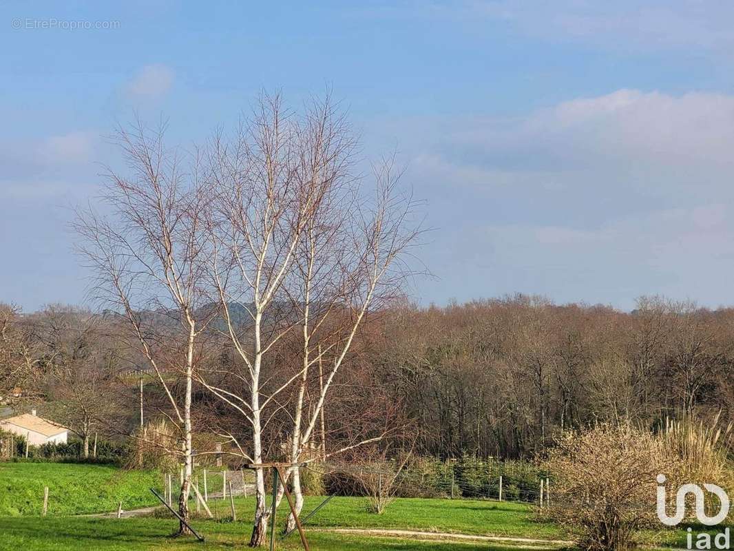 Photo 5 - Terrain à SAINT-BONNET-SUR-GIRONDE