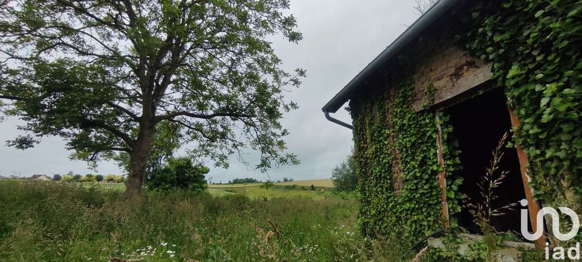 Photo 3 - Terrain à SAINT-SENIER-SOUS-AVRANCHES