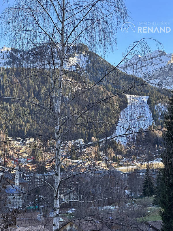 vue balcon est  - Appartement à CLUSES