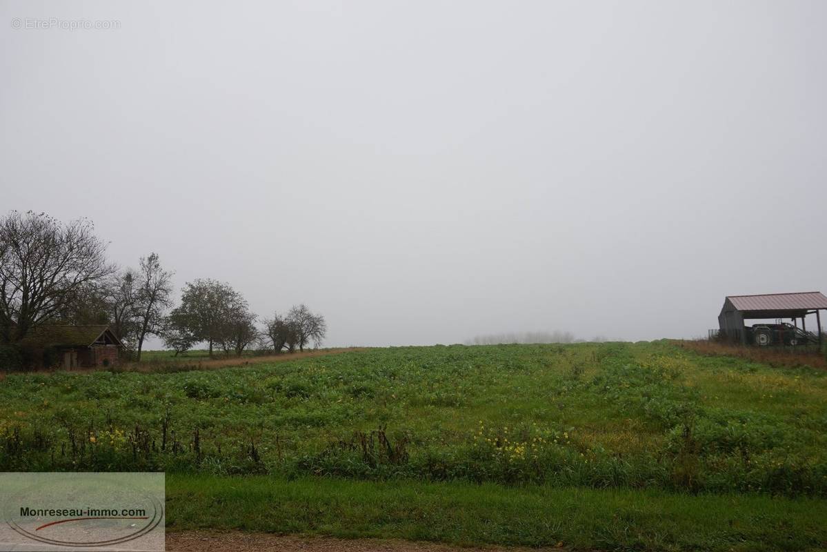 Terrain à VILLEMEREUIL