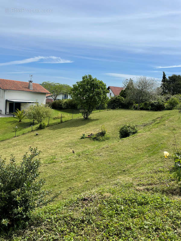 Terrain à VILLEFRANQUE