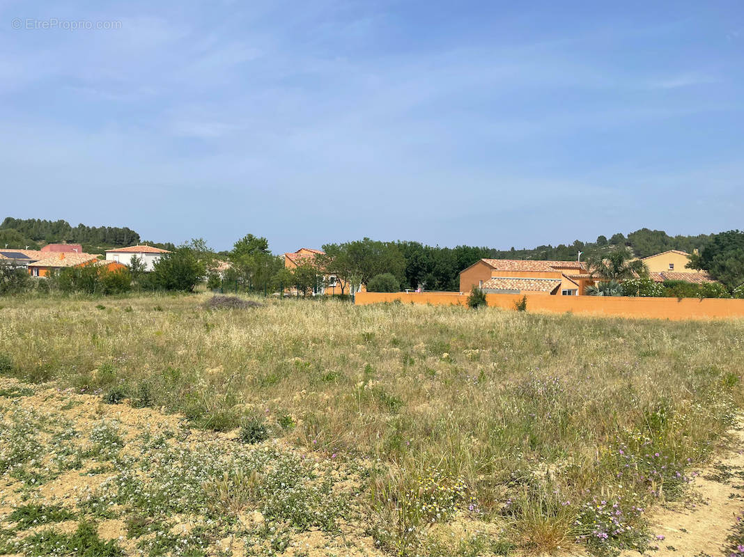 Terrain à PORTEL-DES-CORBIERES