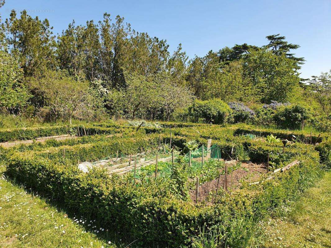 Maison à SAVENNIERES