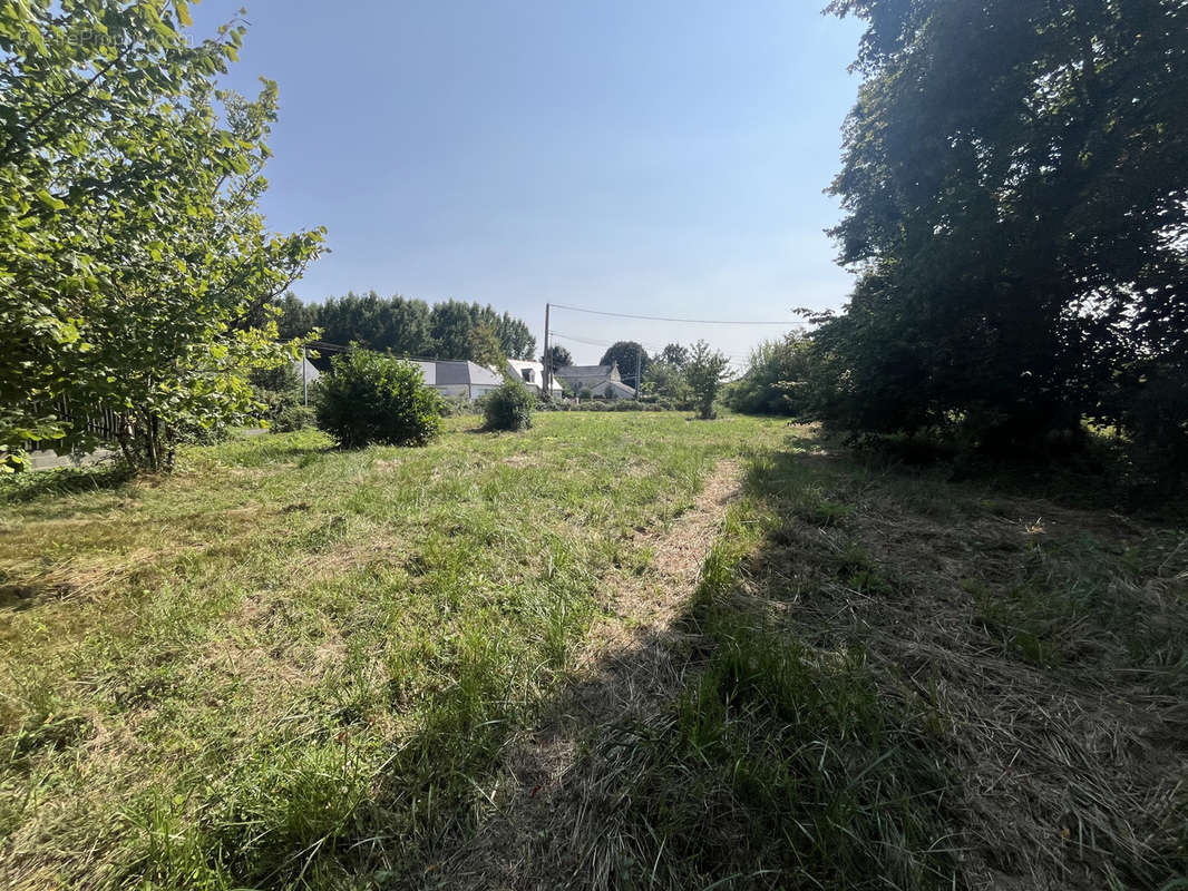 Terrain à SAULGE-L&#039;HOPITAL