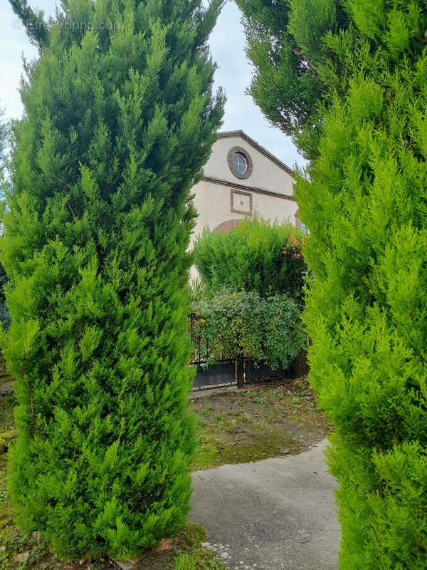 Maison à NEUVY-SUR-LOIRE