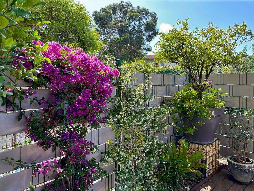 Appartement à SAINT-RAPHAEL