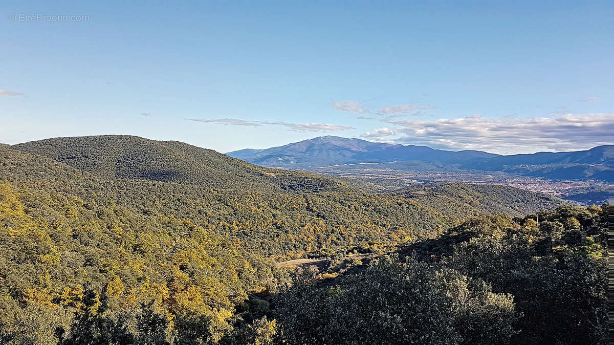 Terrain à TAILLET