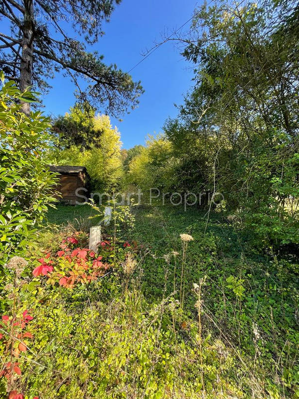 Terrain à BAGNEAUX-SUR-LOING