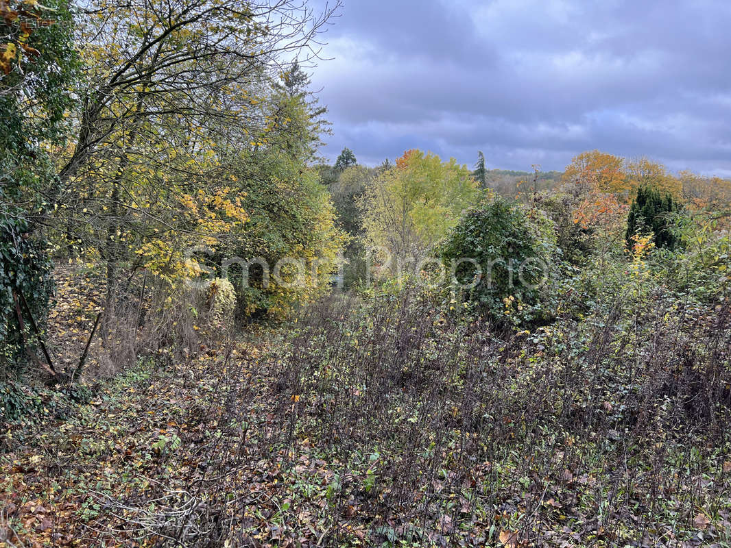 Terrain à BAGNEAUX-SUR-LOING