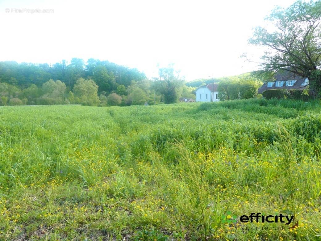 Terrain à SALIES-DE-BEARN