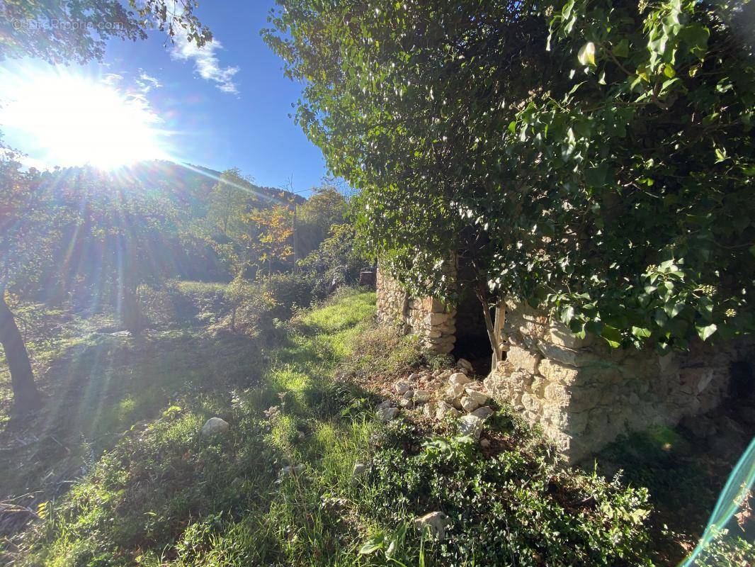 Terrain à BARGEMON