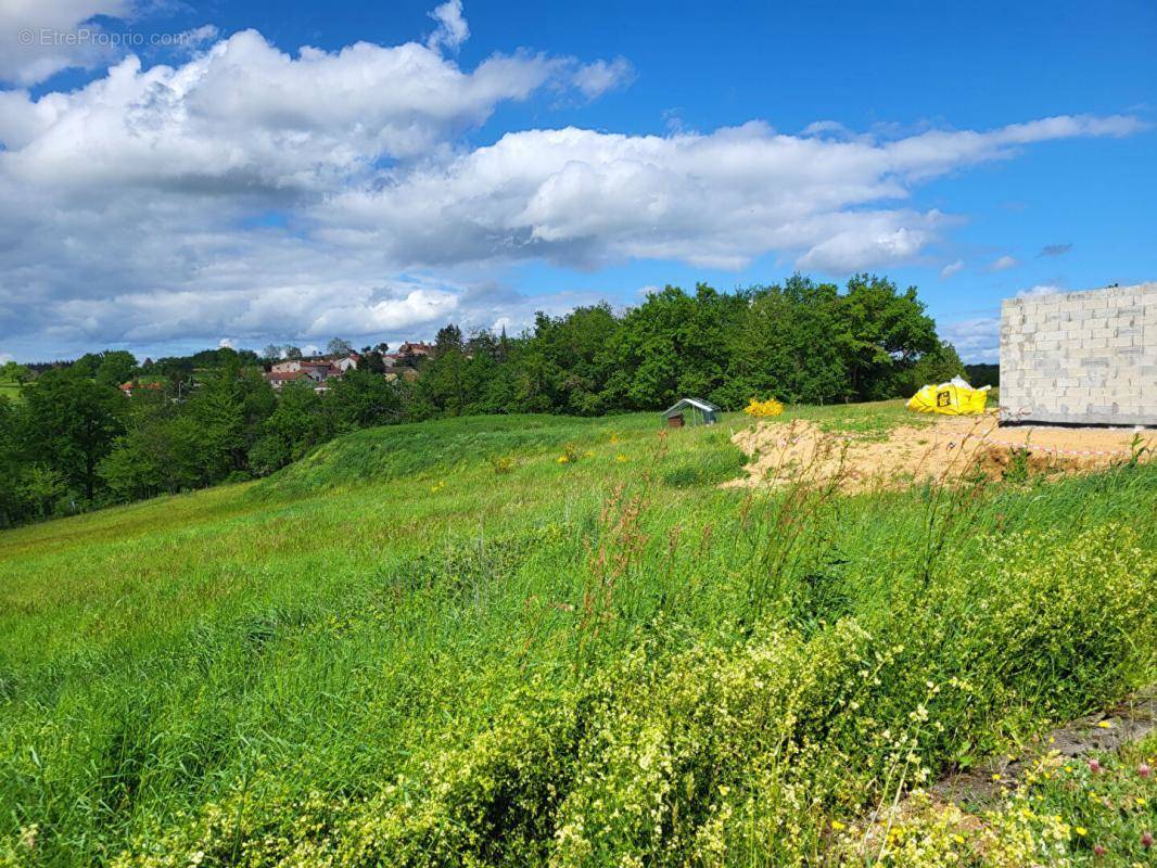 Terrain à BALBIGNY