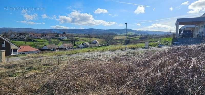 Terrain à ARBOIS