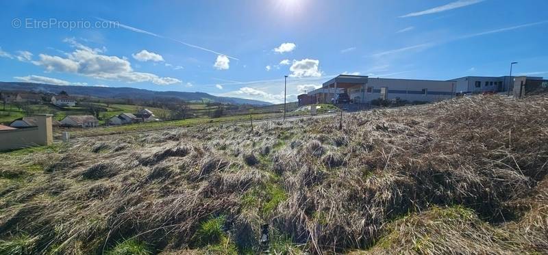 Terrain à ARBOIS