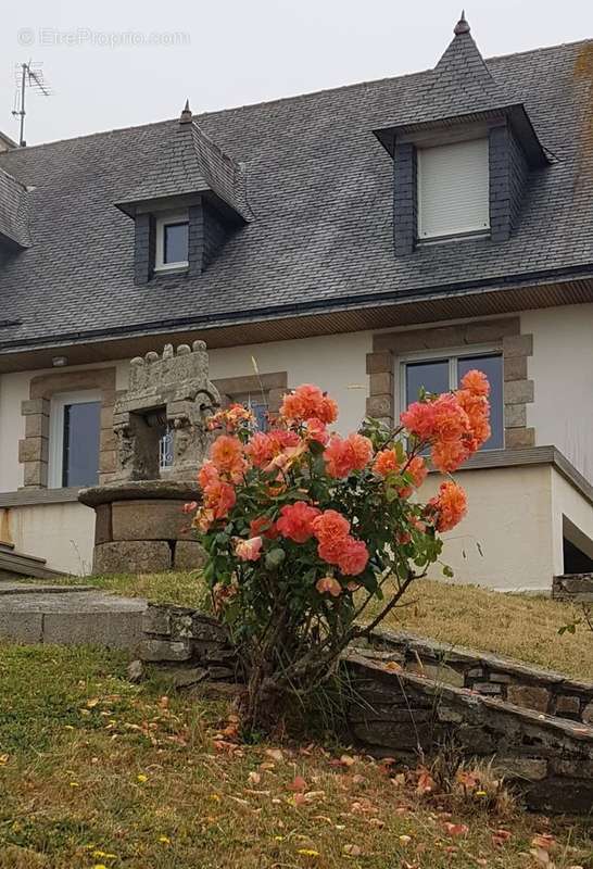 Maison à PLOUARZEL