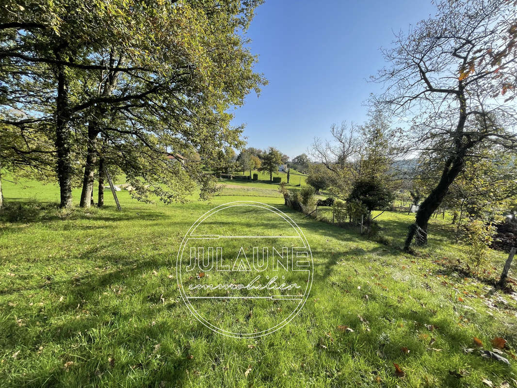 Terrain à AIXE-SUR-VIENNE