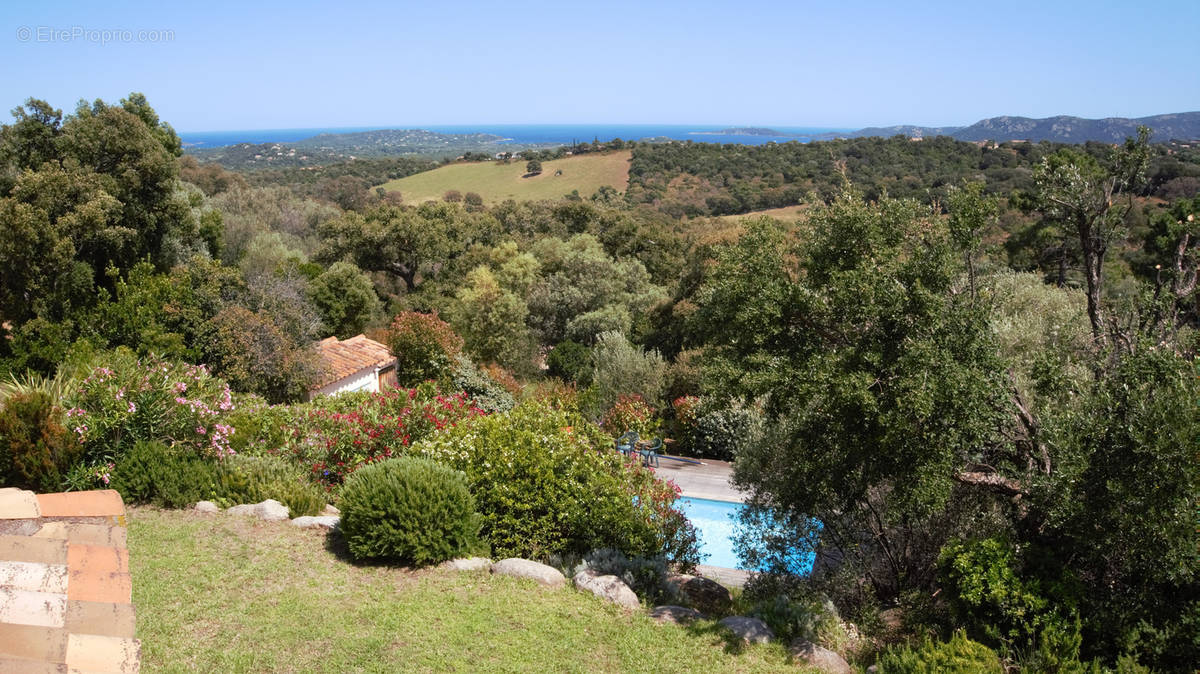 Maison à PORTO-VECCHIO