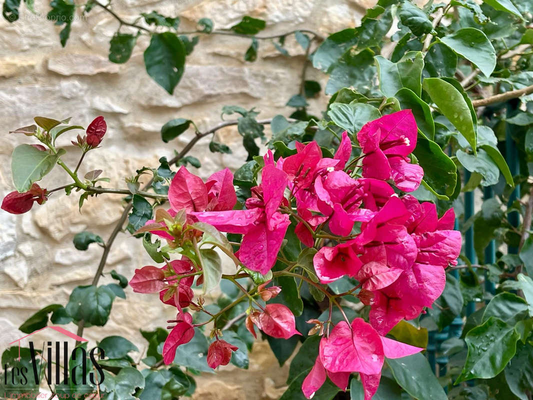 Maison à PORTEL-DES-CORBIERES