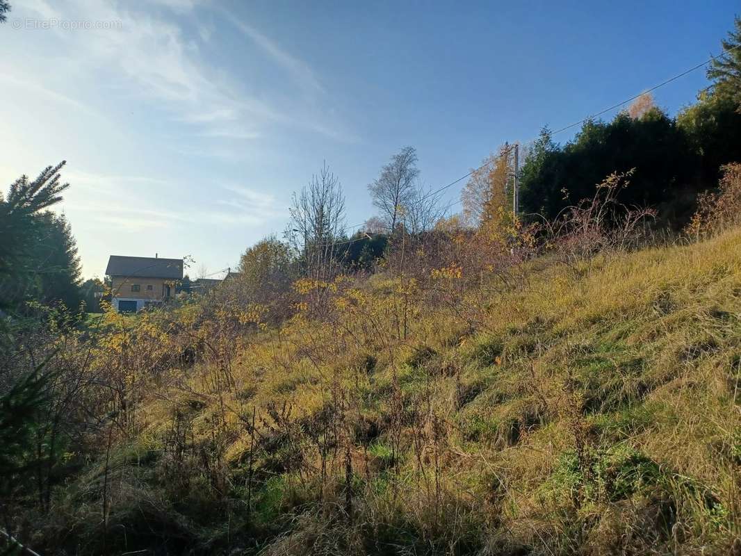 Terrain à LONGCHAUMOIS