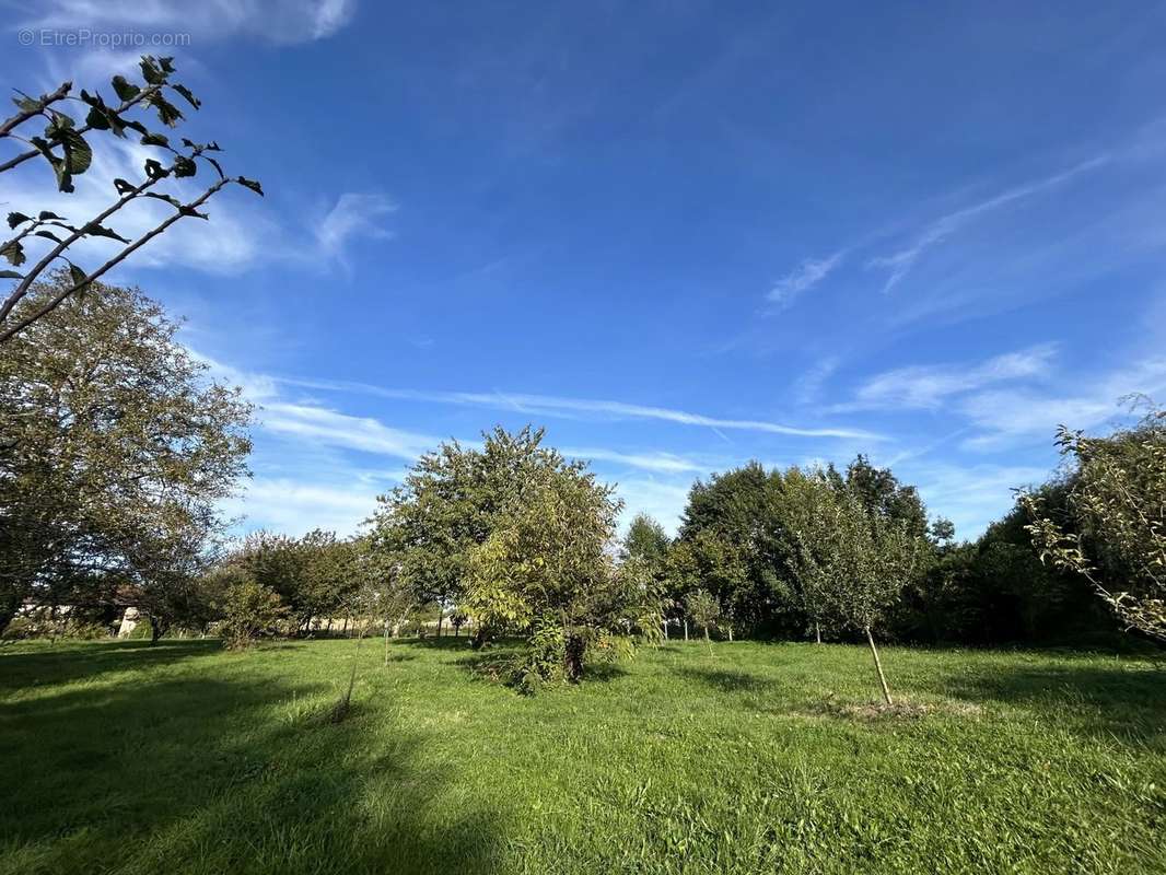 Terrain à MONTBELLET