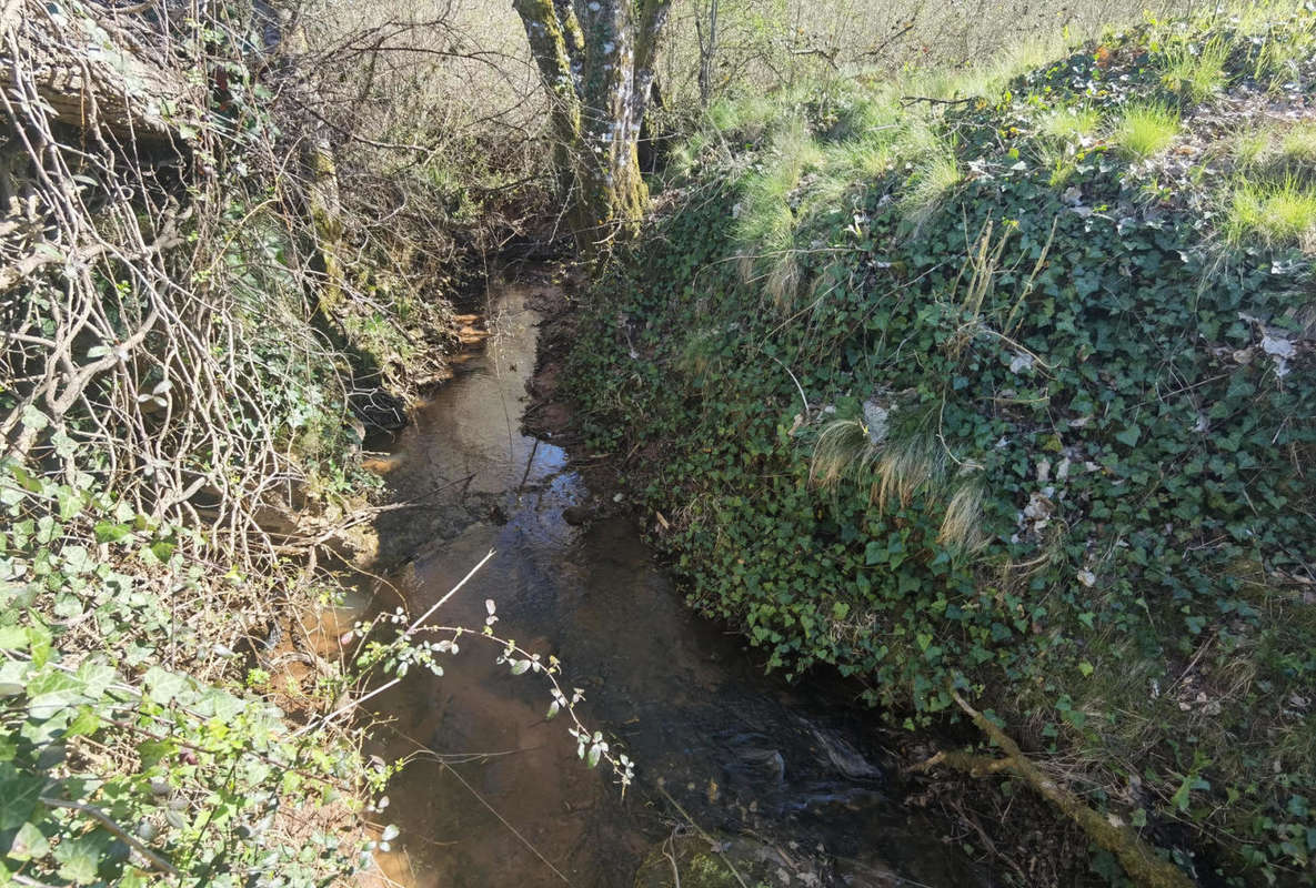 Cours d&#039;eau limite propriété - Maison à LA CASSAGNE