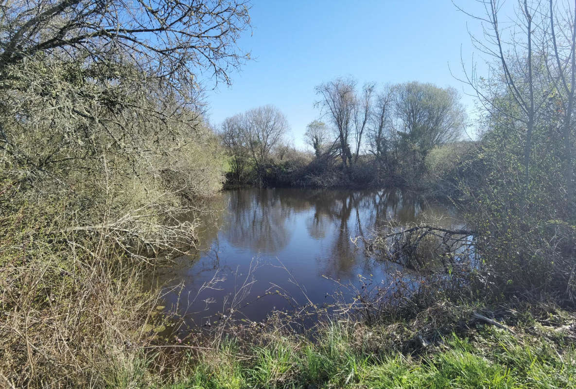 Etang - Maison à LA CASSAGNE