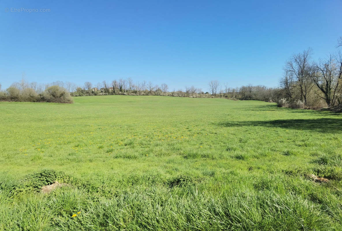 Prairie - Maison à LA CASSAGNE