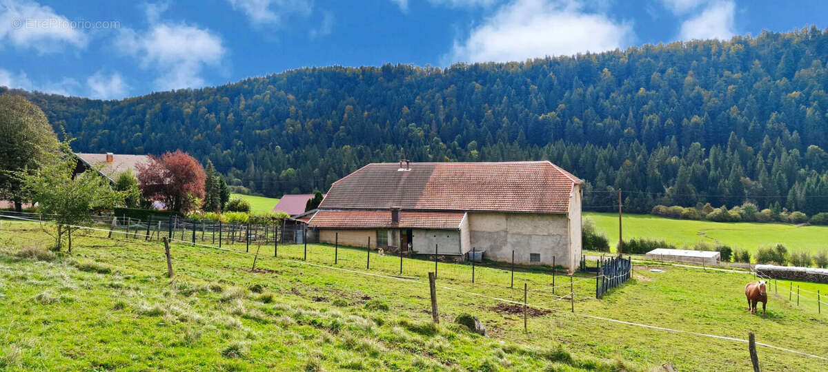 Maison à SAINT-LAURENT-EN-GRANDVAUX