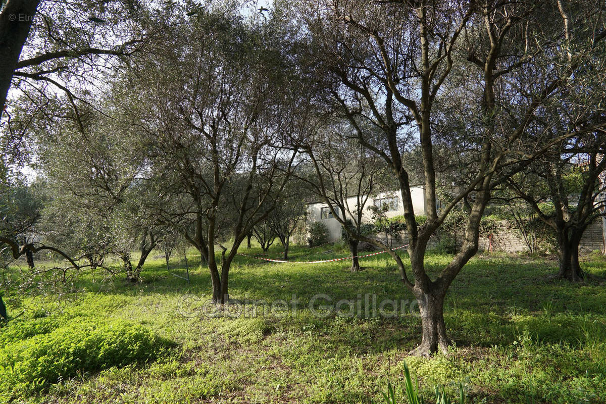 Terrain à GRASSE