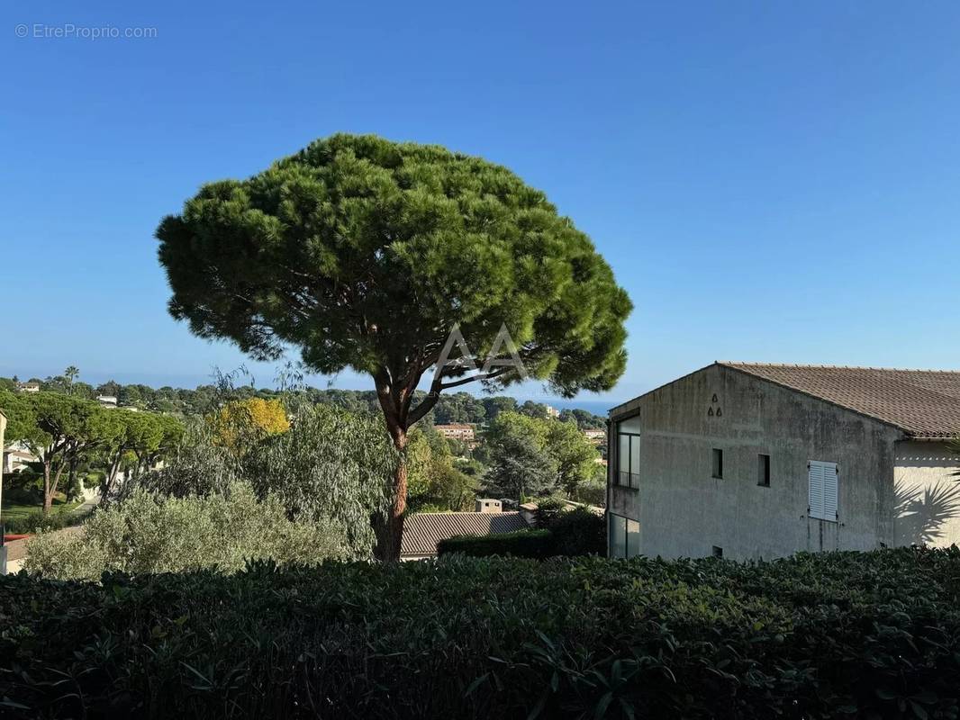 Appartement à VILLENEUVE-LOUBET