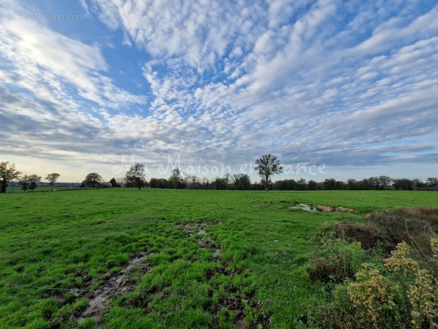 Terrain à MURAT