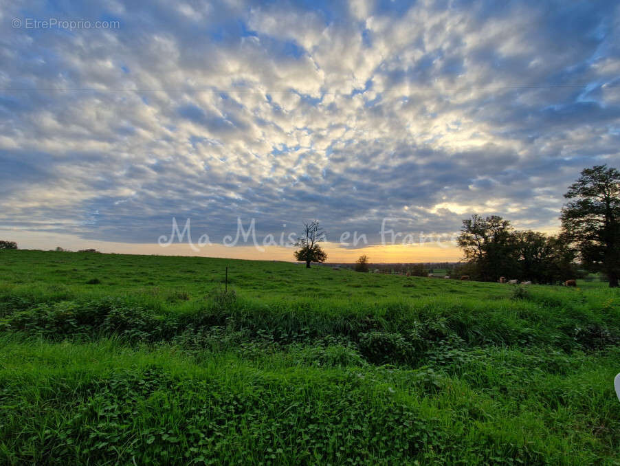 Terrain à MURAT