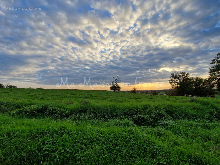 Terrain à MURAT