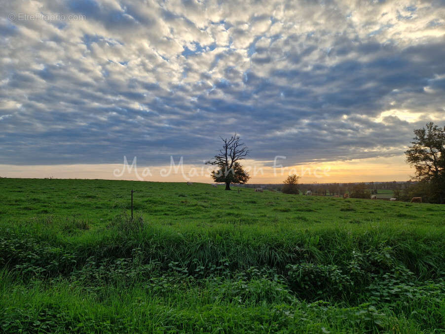 Terrain à MURAT